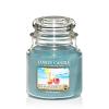 Bahama Breeze HW 411 Yankee Candle® 