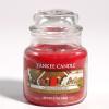 Gingerbread HW 105 Yankee Candle® 