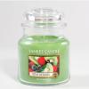 Kiwi Berries HW 411 Yankee Candle® 
