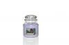 Lilac Blossoms HW 411 