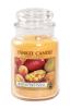 Mango Peach Salsa HW 623 