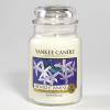 Midnight Jasmine HW 623 Yankee Candle® 