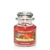 Nature's Paintbrush HW 105 Yankee Candle® 