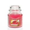 Pink Dragon Fruit HW 411 Yankee Candle® 