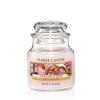 Pink Lady Slipper HW 105 