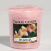 Plumeria Votivkerze 