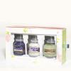 Floral Collection 3x HW 105 Yankee Candle® 