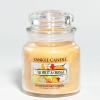 Star Fruit & Orange  HW 411 