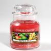 Tropical Fruit HW 105 