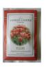 Tulips Dufttütchen Sachet Yankee Candle® >>BESCHREIBUNG LESEN- 