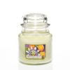 Wild Passion Fruit HW 411 Yankee Candle® 