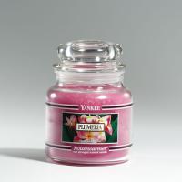 Plumeria HW 411 